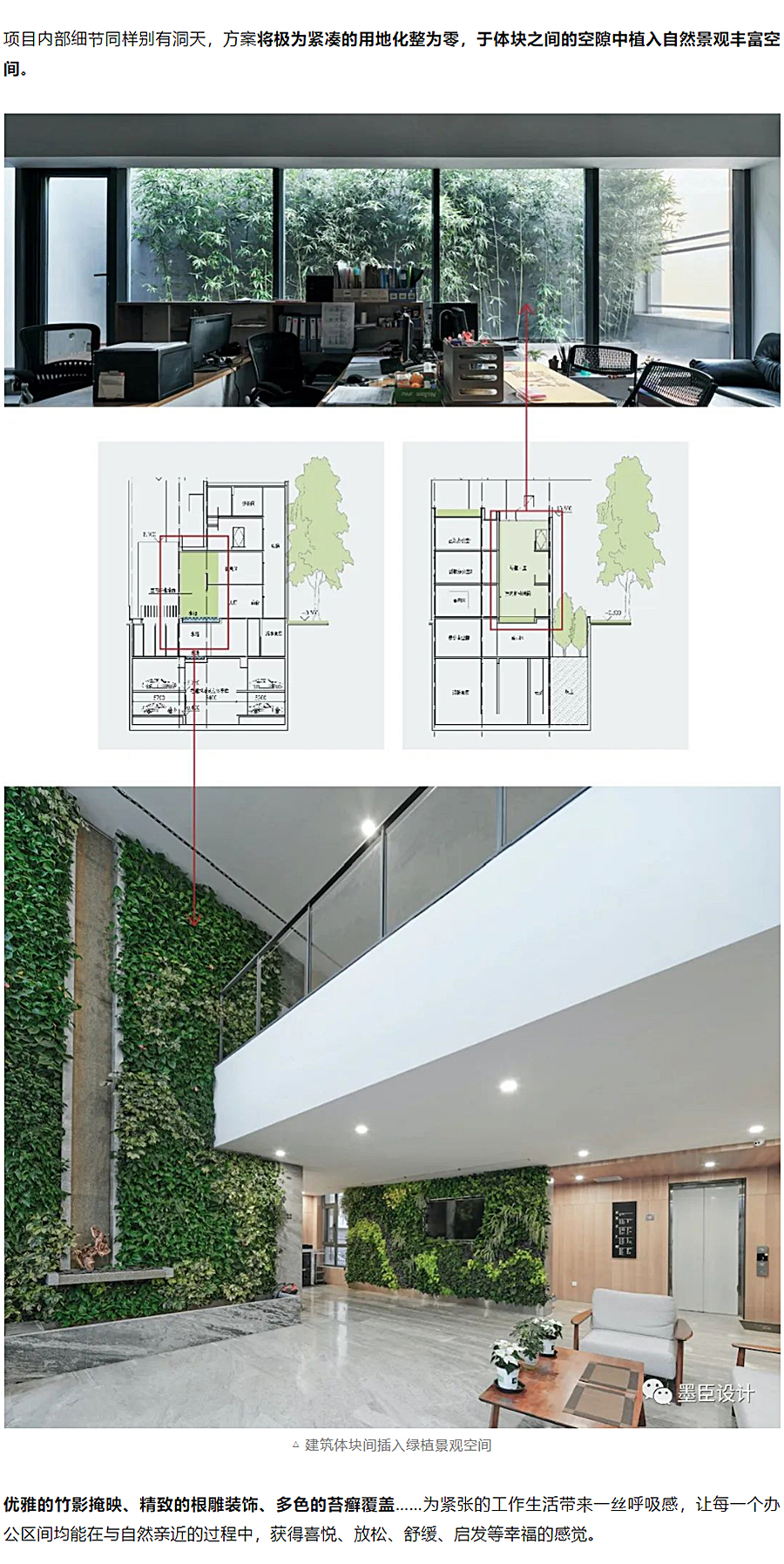 生态办公的游园序列-_-北京花木公司办公楼改造_0020_图层-21.jpg