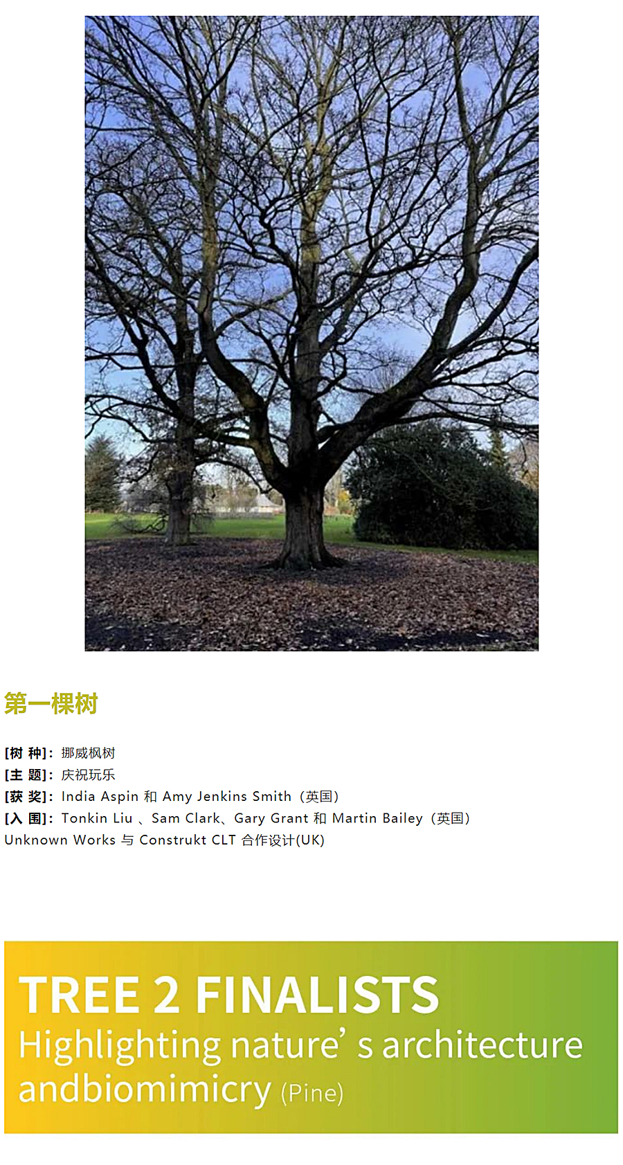 弹奏起自然的音符——伦敦皇家植物园「树屋」设计大奖揭晓_0010_图层-11.jpg