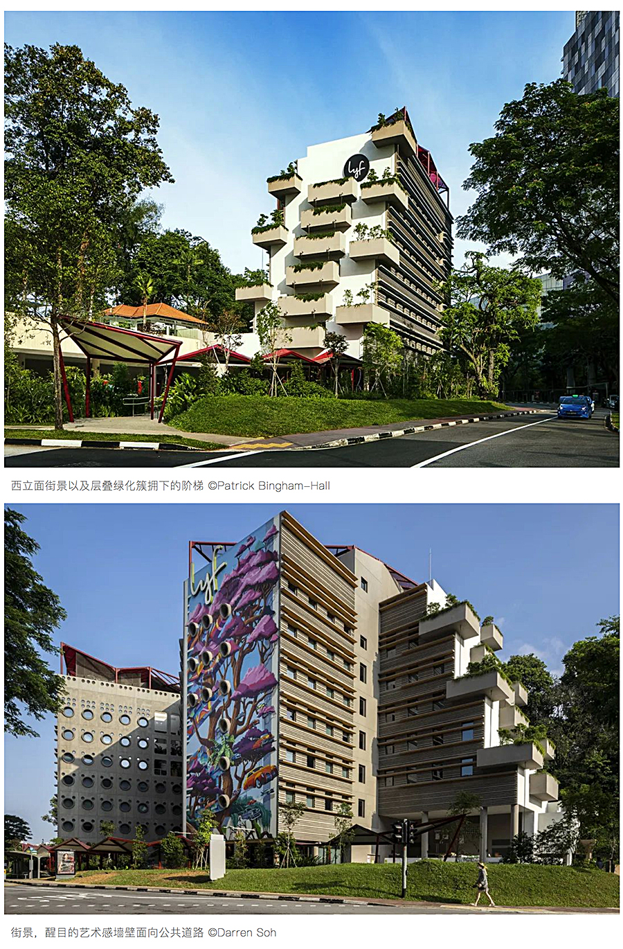 Renewal-Zone：城市中的碧绿共享公寓兼公共社区枢纽-新加坡WOHA新作_0010_图层-11.jpg