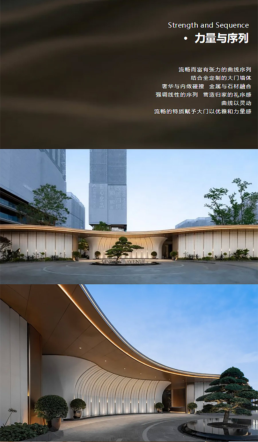 【2024REARD银奖作品回顾_山水比德】仁和春天银杏大道-2_05.jpg