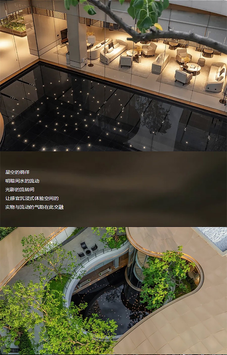 【2024REARD银奖作品回顾_山水比德】仁和春天银杏大道-3_03.jpg
