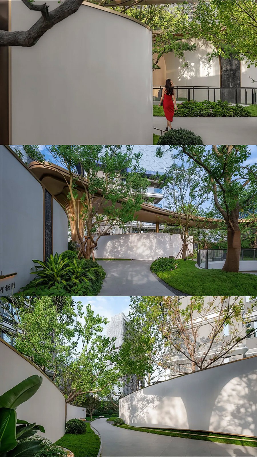 【2024REARD银奖作品回顾_山水比德】仁和春天银杏大道-3_05.jpg