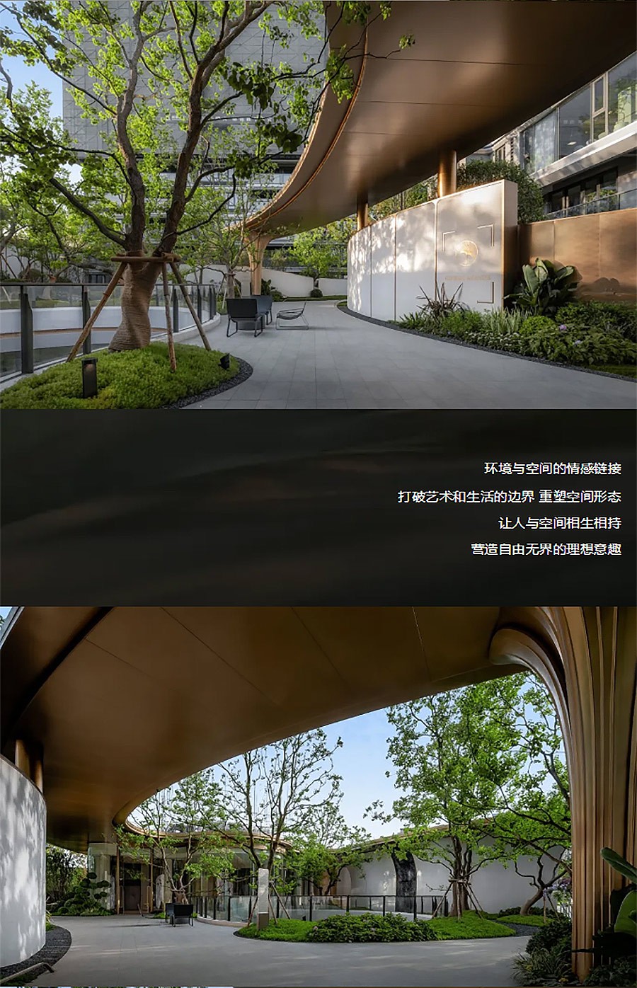 【2024REARD银奖作品回顾_山水比德】仁和春天银杏大道-4_04.jpg