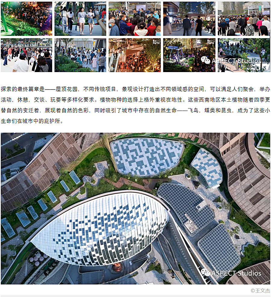 跨时代意义的全新体验式商业-_-香港置地光环购物公园_0015_图层-16 拷贝.jpg