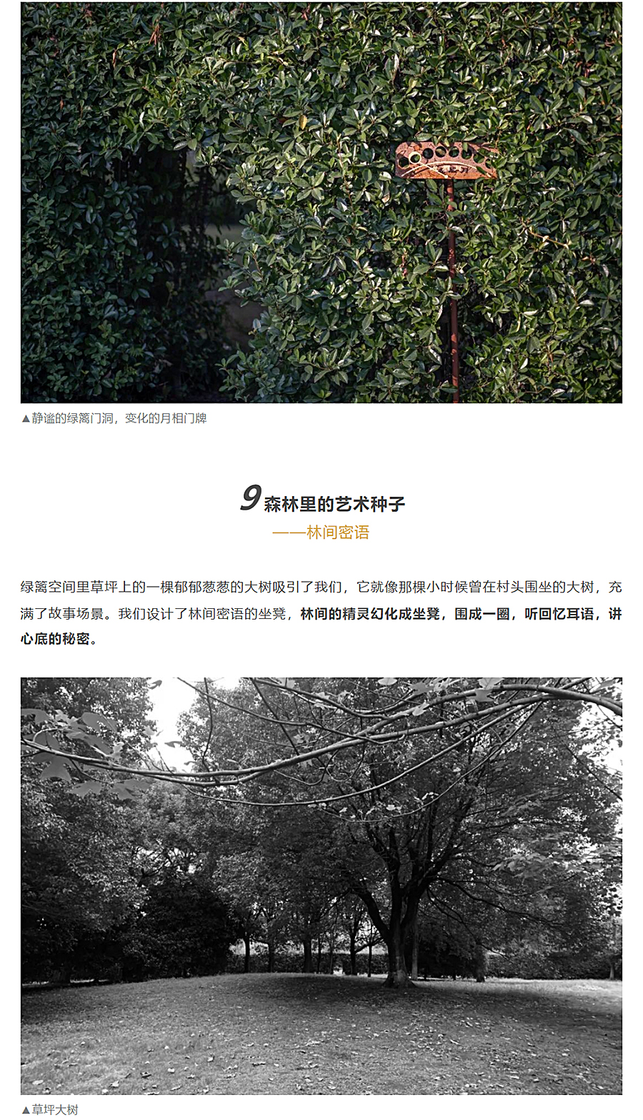 迭新作品-│-安道设计：中国田园城市范本的微更新改造_0018_图层-19.jpg
