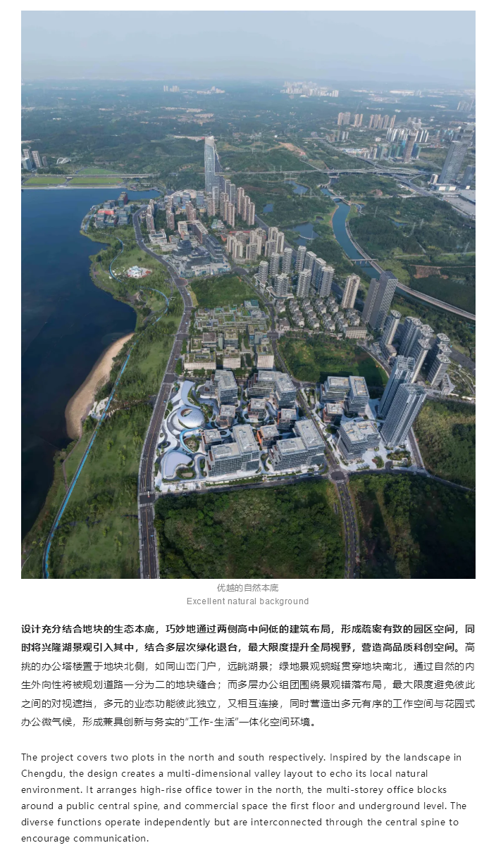 图层 5.png
