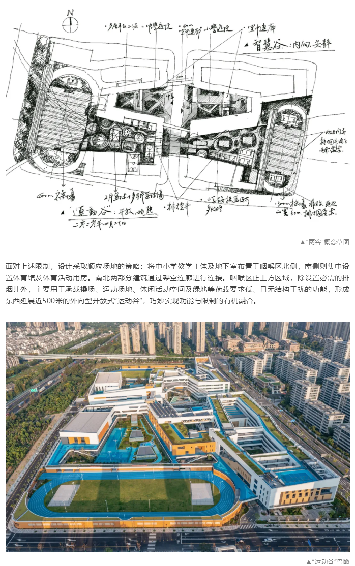 图层 7.png