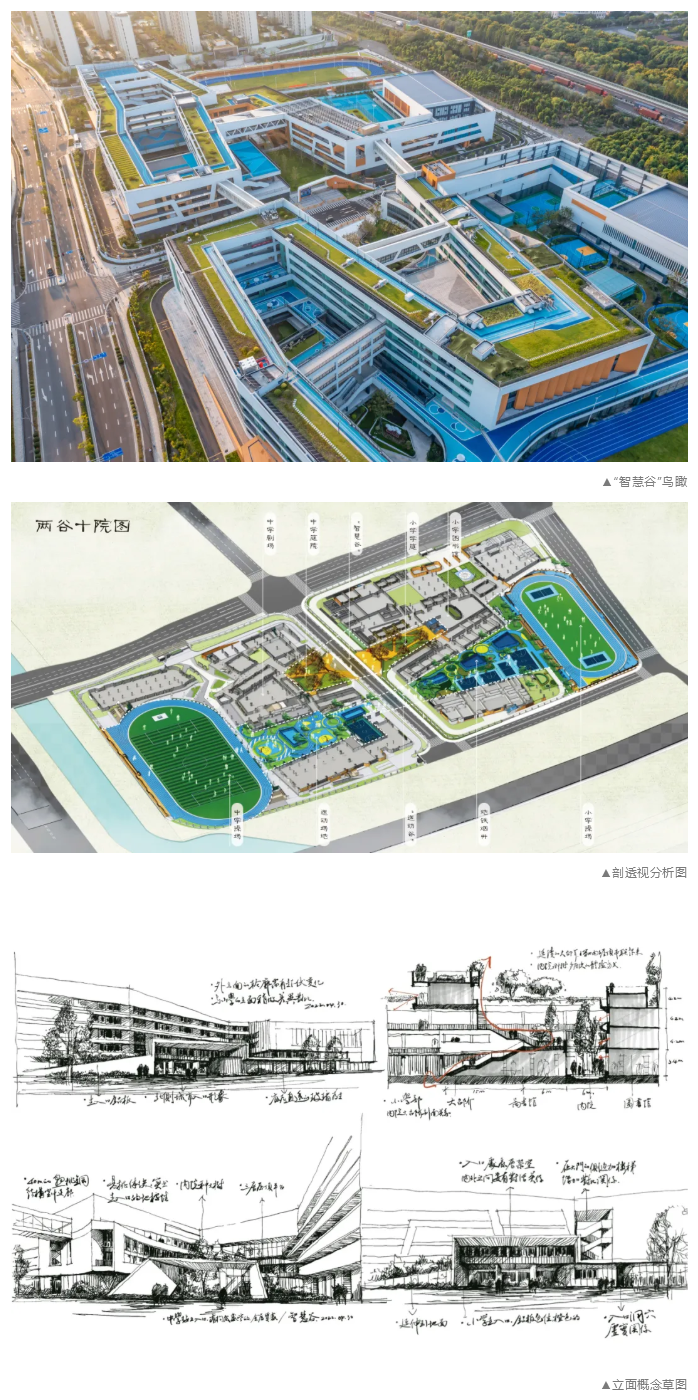 图层 20.png