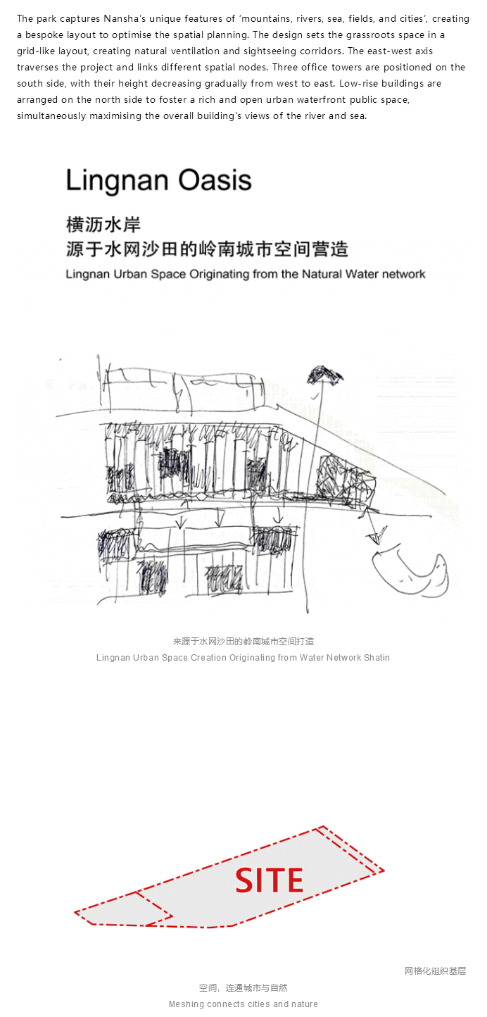 图层 6.png