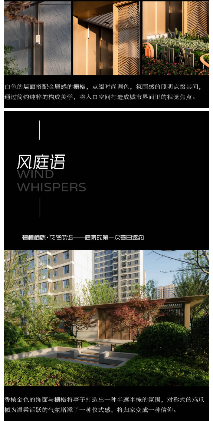 图层 9.png